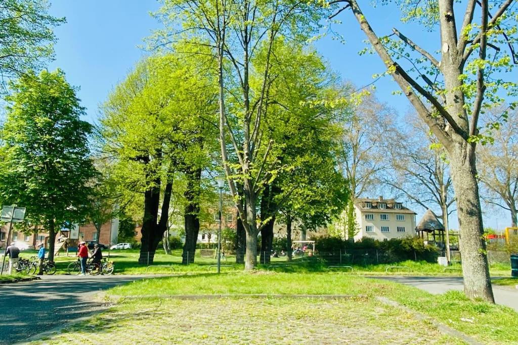 Kassel: Alles, Was Du Brauchst! Экстерьер фото